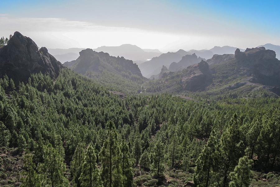 parques-naturales-gran-canaria